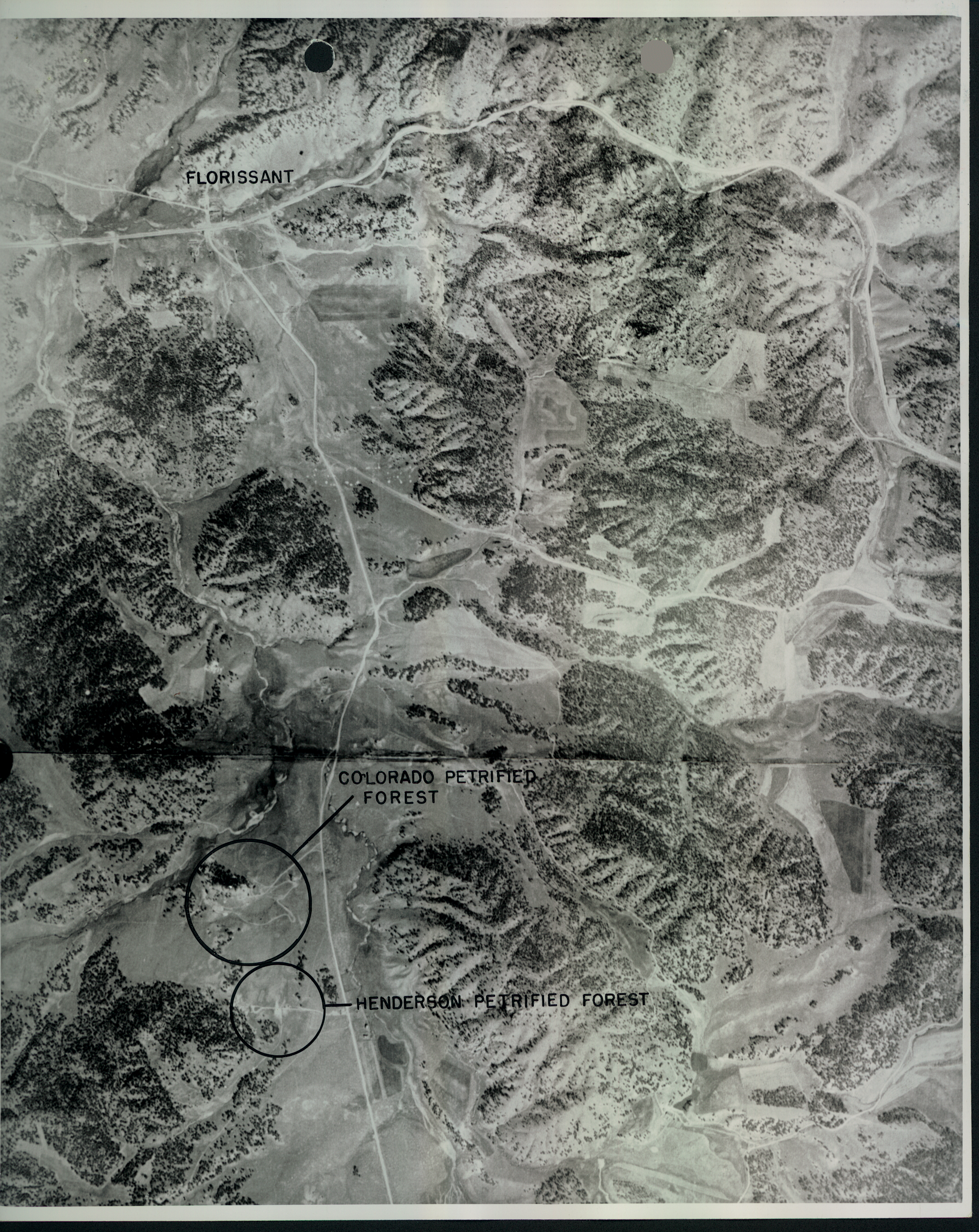 Aerial photograph of the proposed park area with both petrified forest attractions marked.