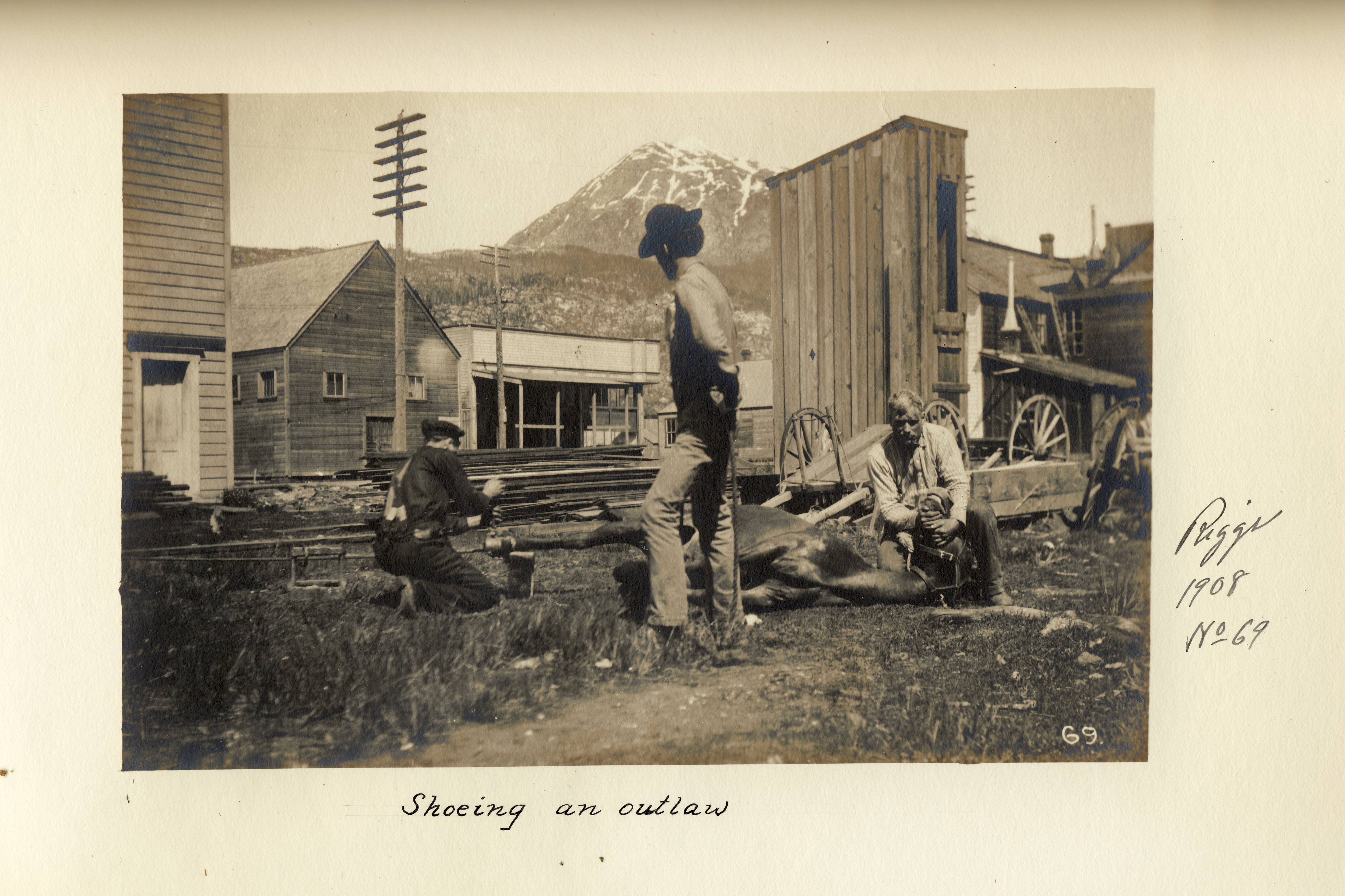 photo of men putting shoes on a horse