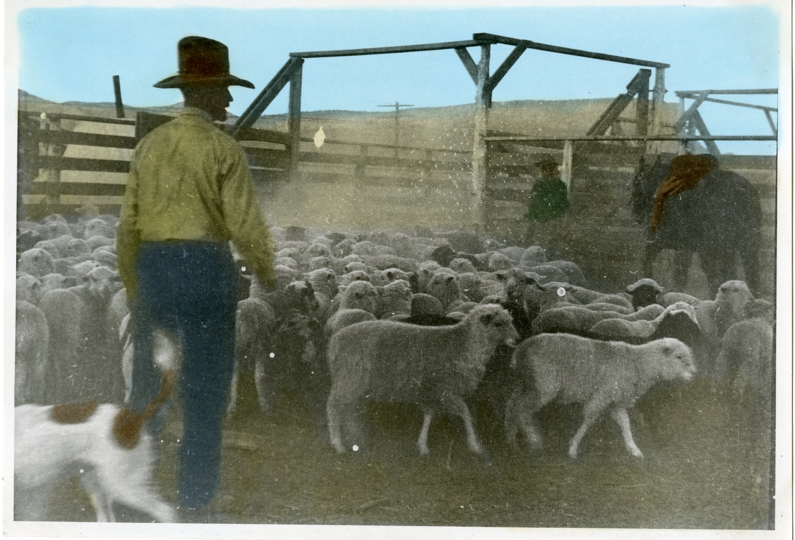 corral