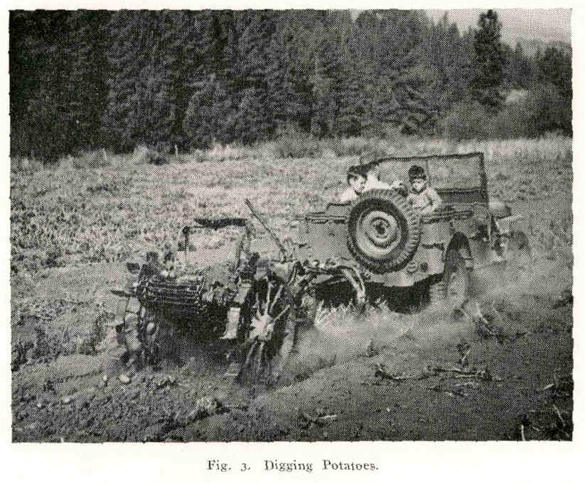 picture of a jeep towing a plow behind it used to dig potatoes